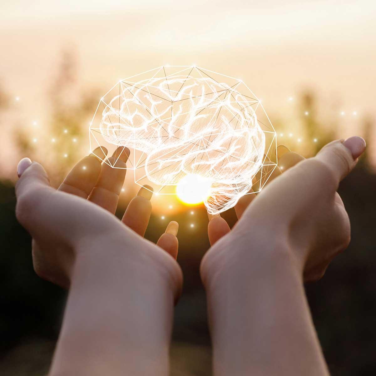 El cerebro como medicina