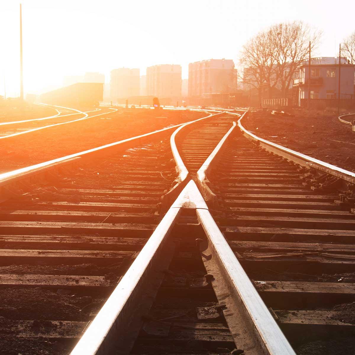 Het keerpunt voor de Homo Sapiens