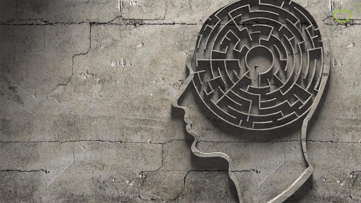 1 skyrius - SMEGENŲ EVOLIUCIJA - Mūsų smegenų istorija