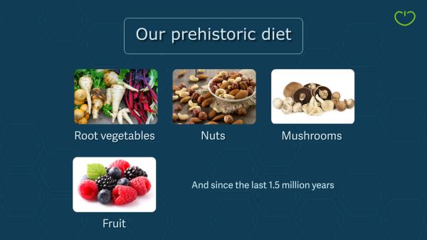 Chapter 3 - OUR HABITS - How dit we use our body and how did we eat